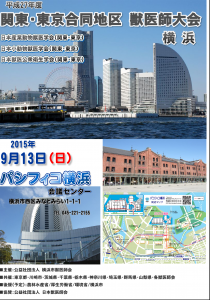kantoutokyogoudou